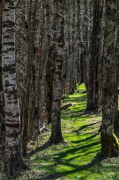 Ostello Landarenca Экстерьер фото